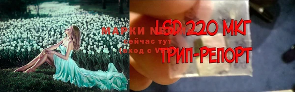 эйфоретик Богородск