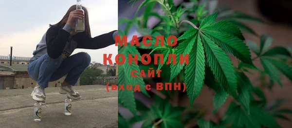 бошки Няндома