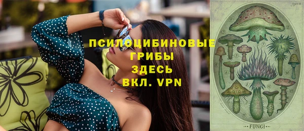 сатива Богданович