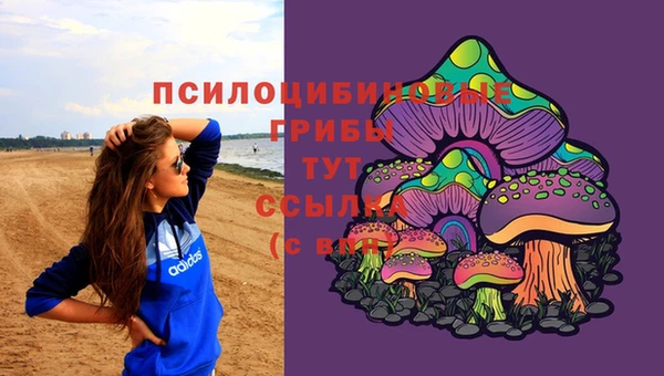 эйфоретик Богородск