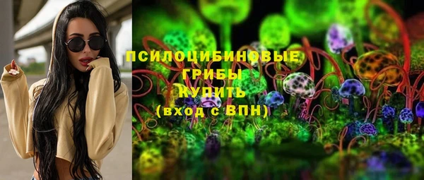 сатива Богданович