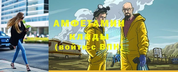 дурь Богородицк