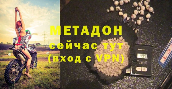 сатива Богданович