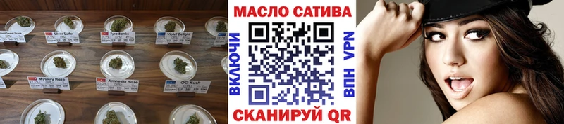ТГК вейп с тгк даркнет сайт Острогожск