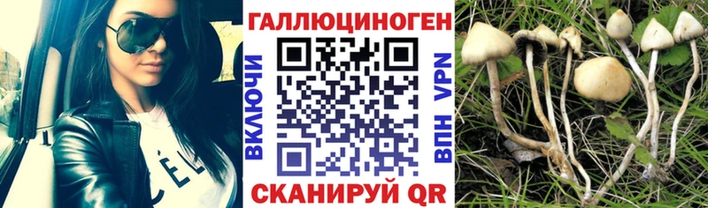 Псилоцибиновые грибы ЛСД  Острогожск 